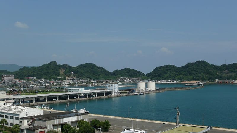Suzume