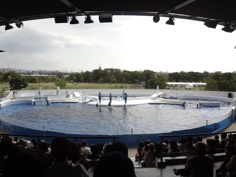 京都水族館