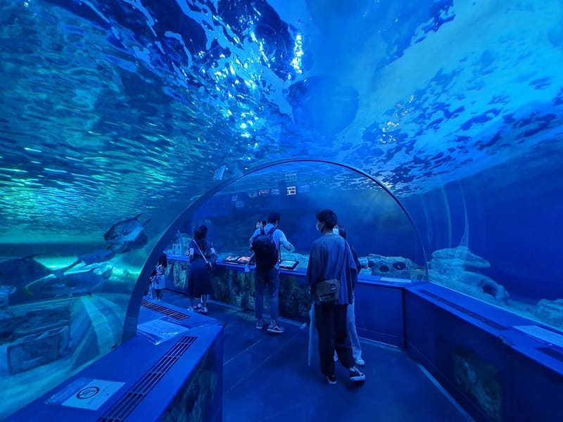 品川水族館