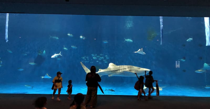 いおワールドかごしま水族館
