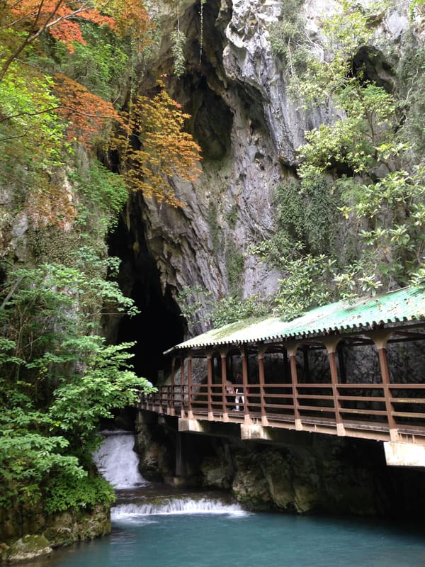 Akiyoshidō Cave (秋芳洞)