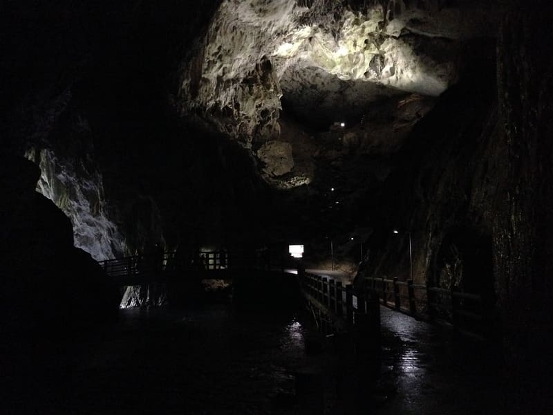 Akiyoshidō Cave (秋芳洞)