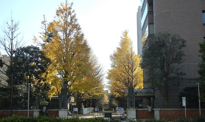 青山學院大學青山校區