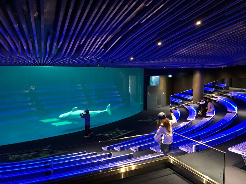 しまね海洋館アクアス