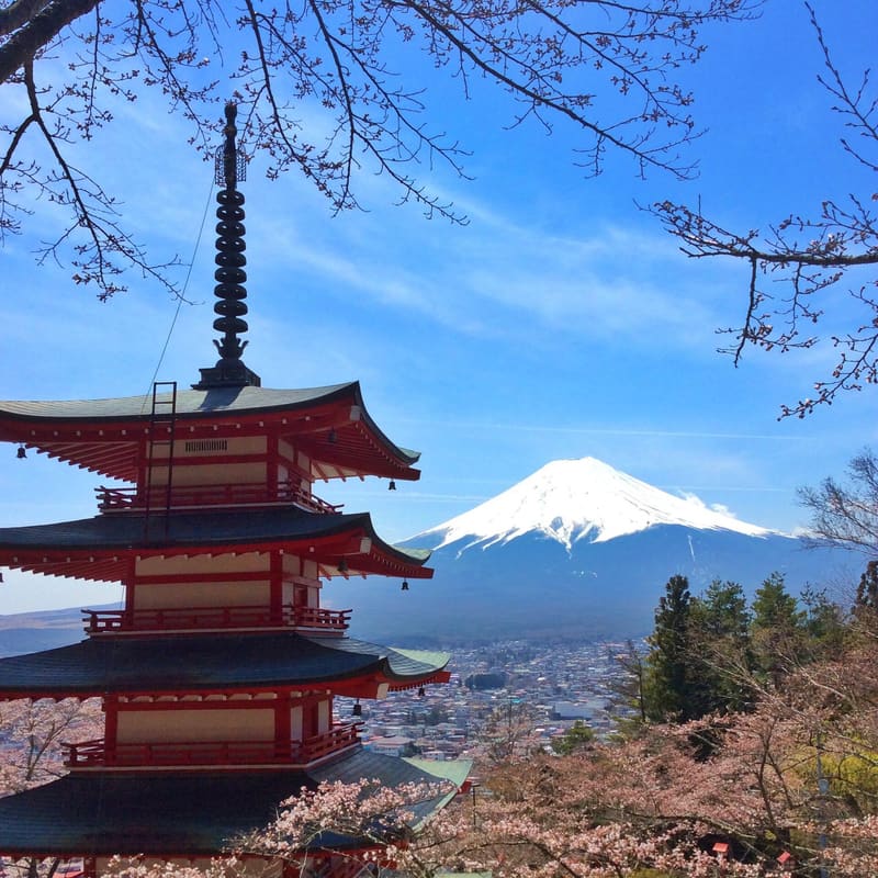 新倉山淺間公園與忠靈塔