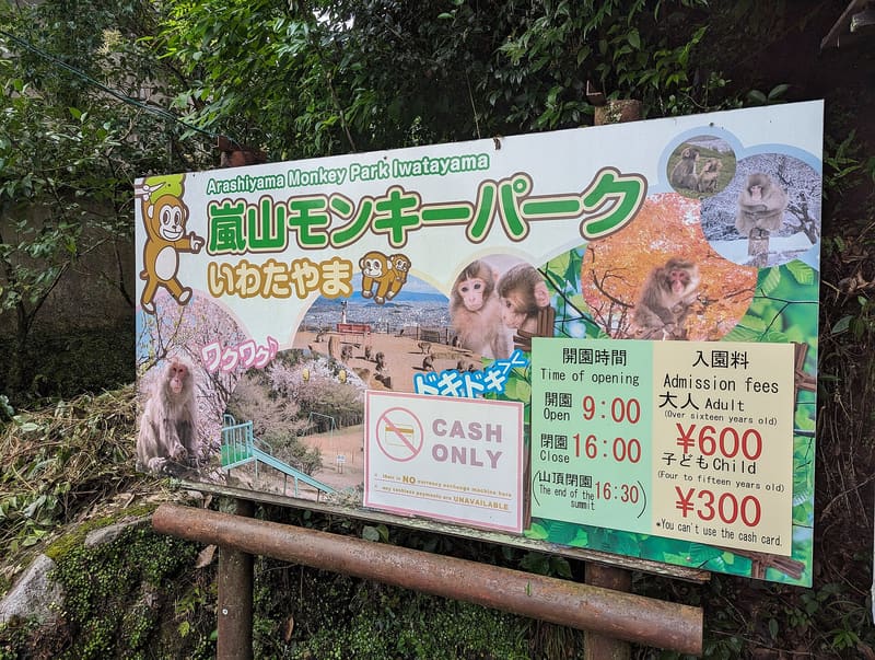 嵐山岩田山猴子公園
