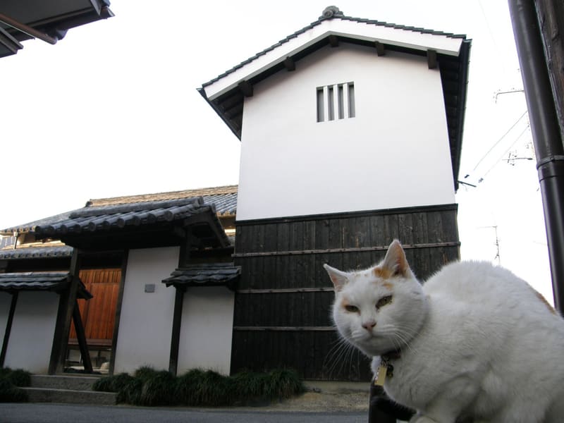 家プロジェクト