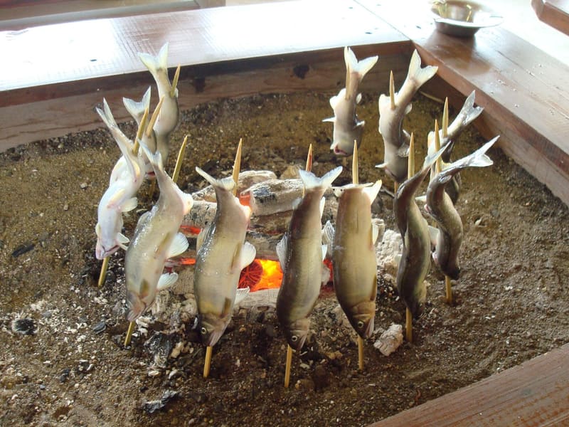延岡鮎梁