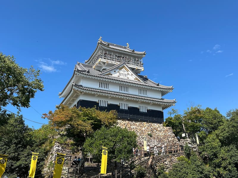Castello di Gifu