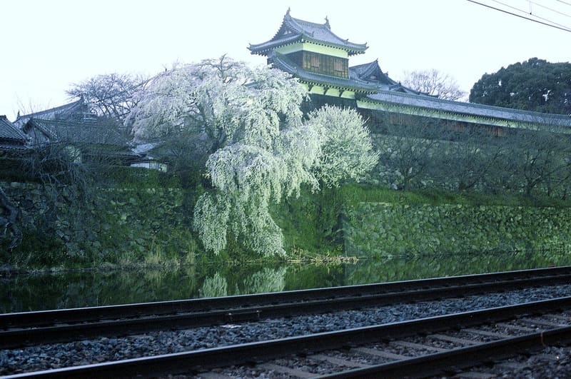 郡山城跡