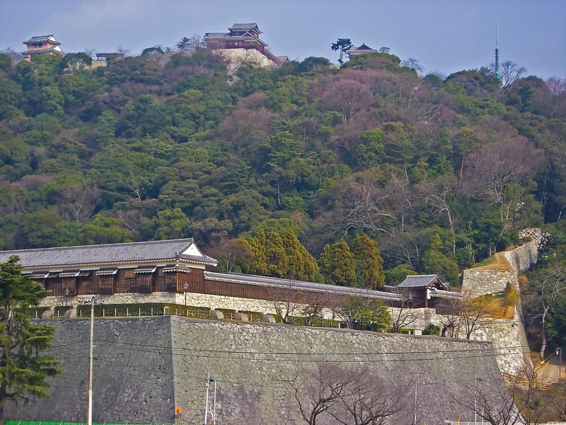 Matsuyama Castle (松山城)