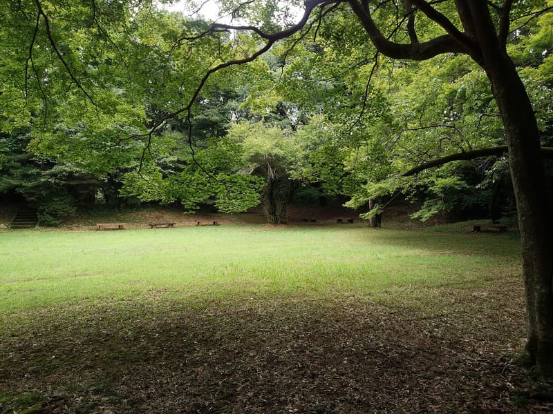 滝山城跡
