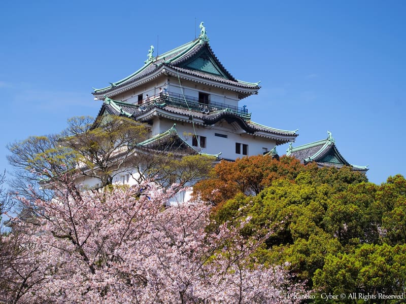 和歌山城