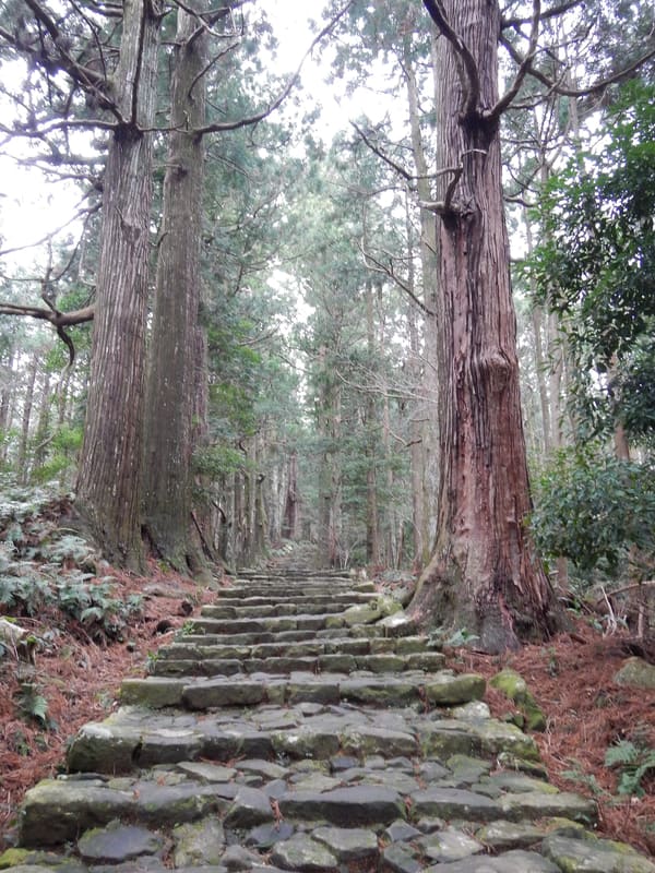 Daimonzaka, Kumano Kodō (熊野古道・大門坂)