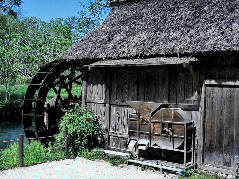Daiō Wasabi Farm