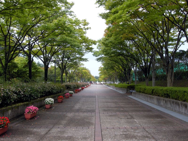 Domon Ken Photography Museum