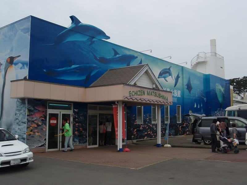 Acquario di Echizen Matsushima