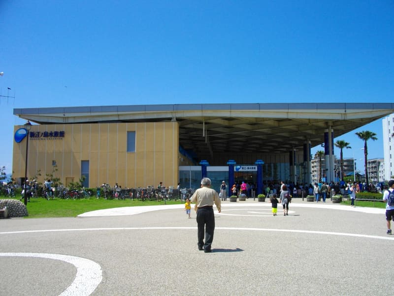 新江之島水族館