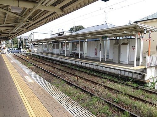 Parco Sakuragi Fureai Ryokuchi, il luogo oggi