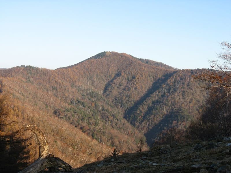 Monte Kumotori (雲取山)