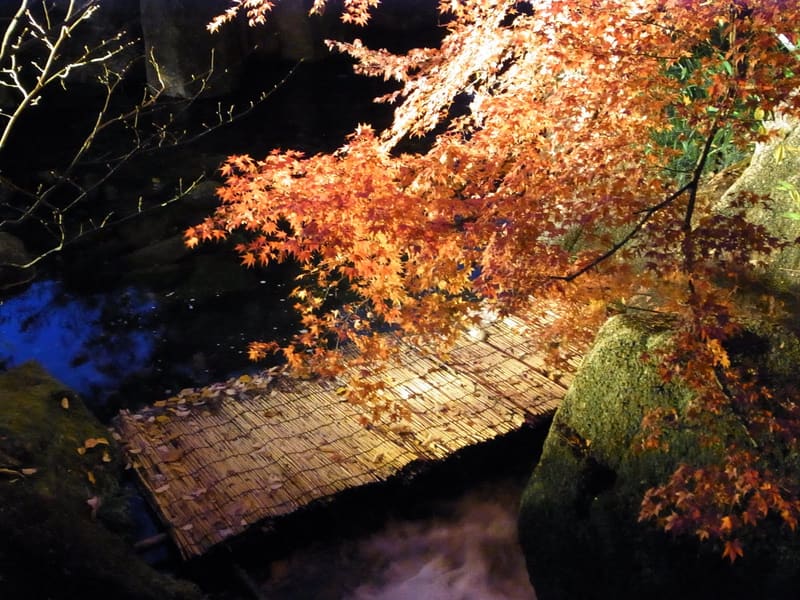 Giardino Tokugawa-en (徳川園)