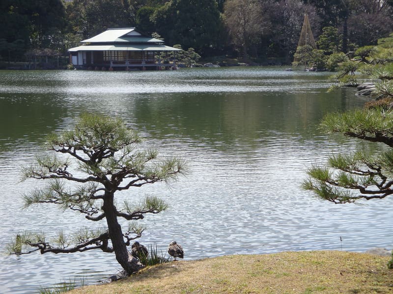 Giardino Kiyosumi