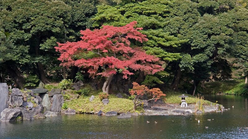 Koishikawa Kōrakuen Garden