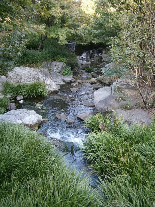 白鳥庭園