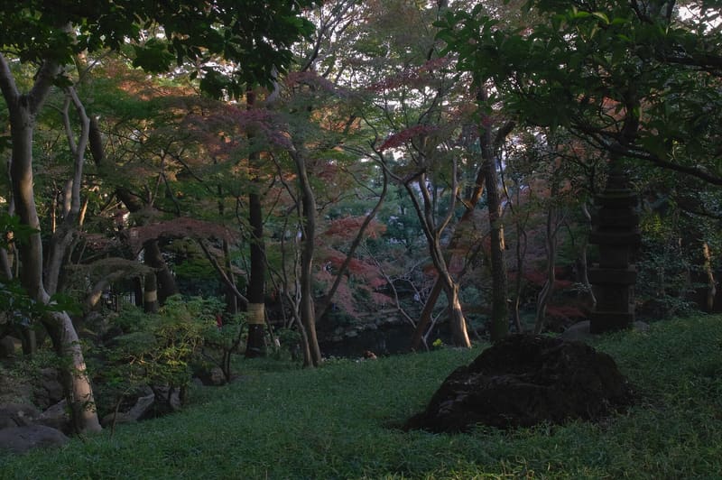 殿ヶ谷戶庭園