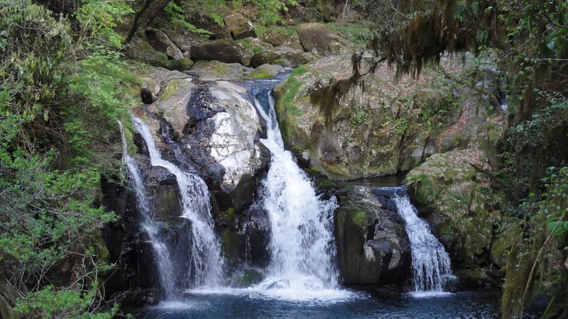 Kikuchi Gorge (菊池渓谷)