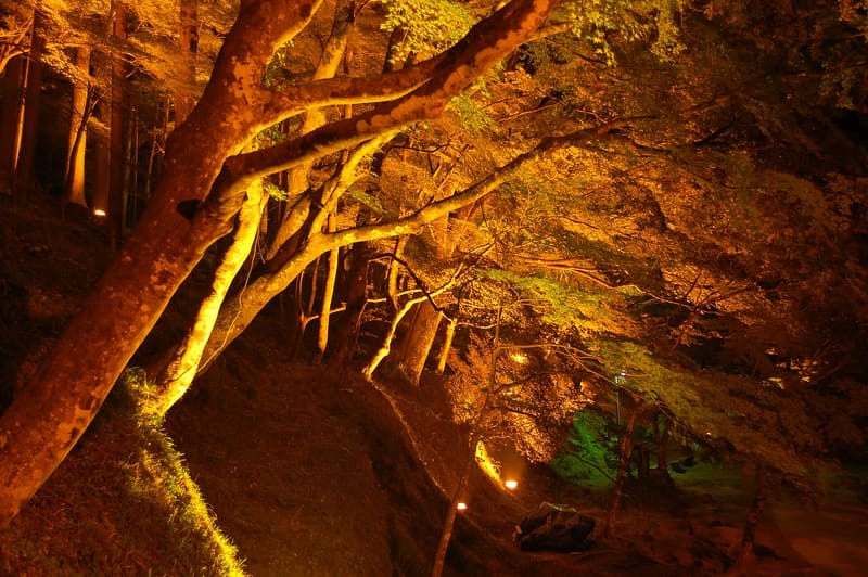 Kōrankei Gorge (香嵐渓)