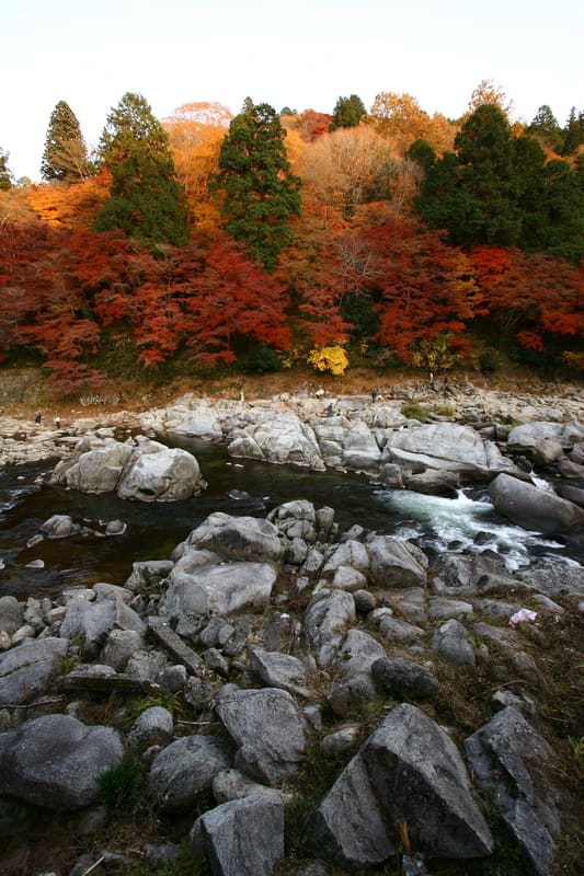 Kōrankei Gorge (香嵐渓)