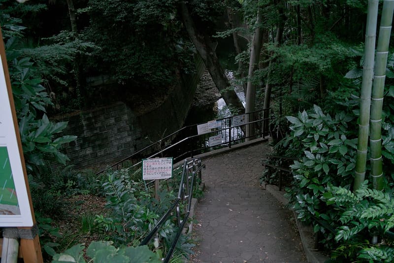 等々力渓谷