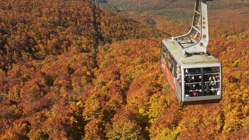 八甲田空中纜車