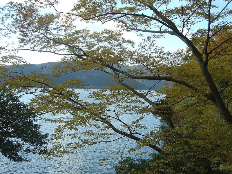 蘆之湖 — 箱根