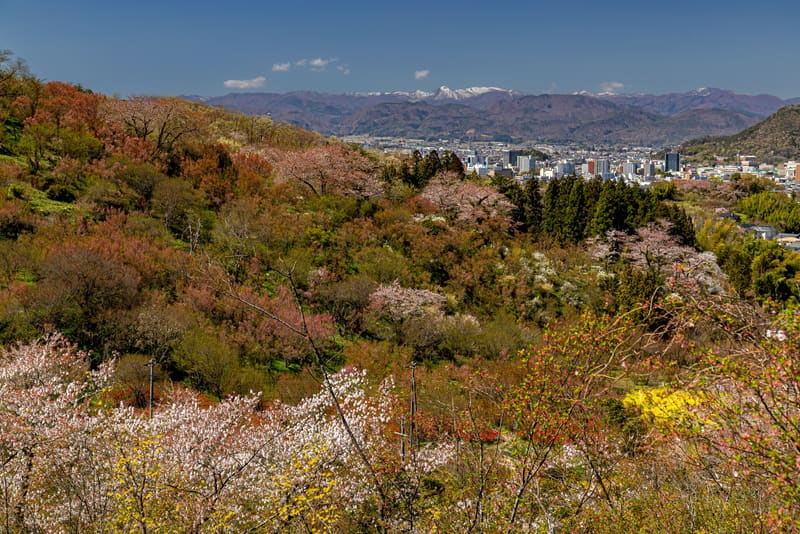 Hanami-yama Park