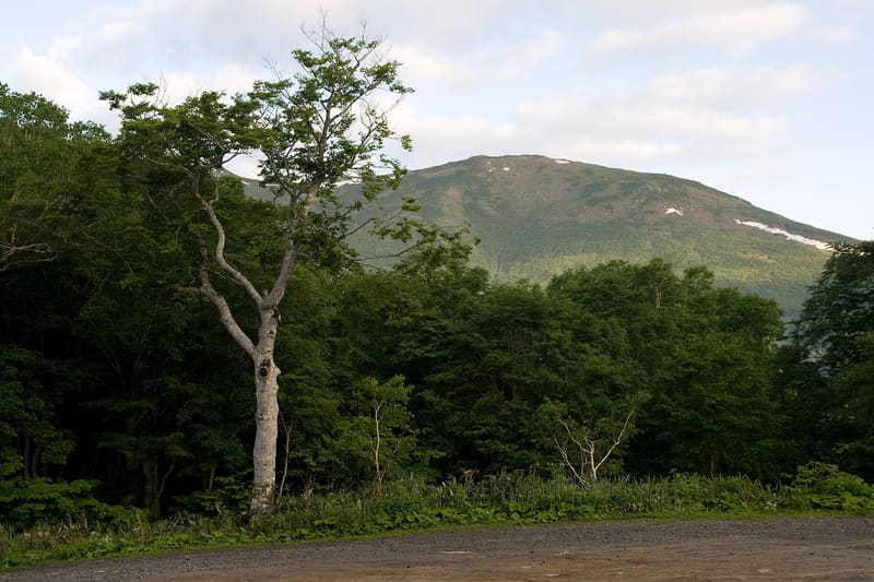 鳩待峠