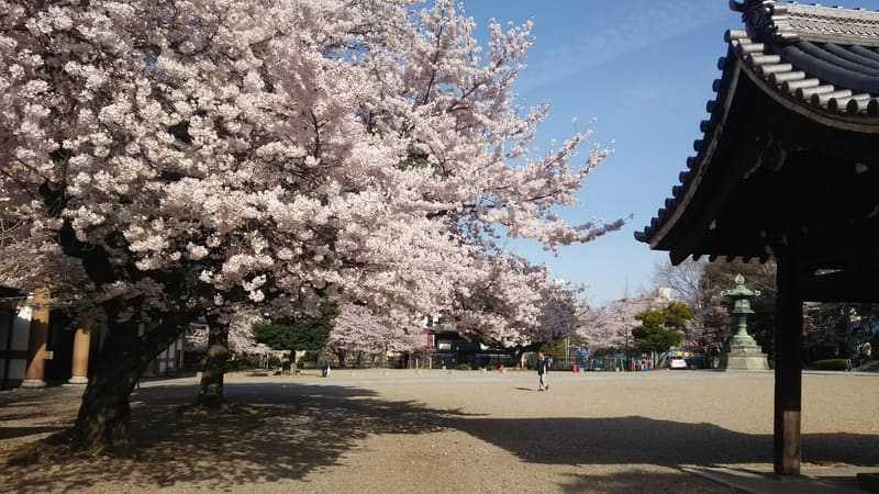 Mercatino dell'Higashi Betsuin (東別院てづくり朝市)