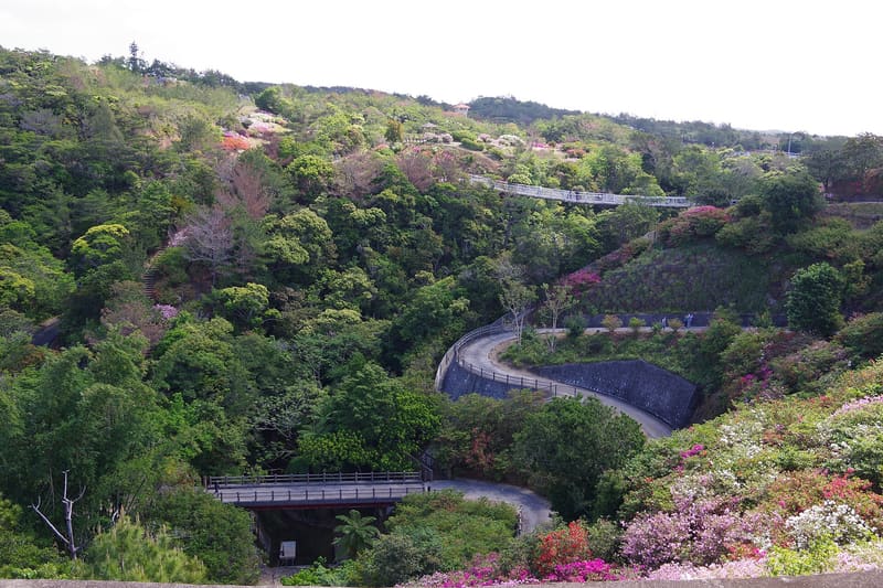 東村杜鵑園