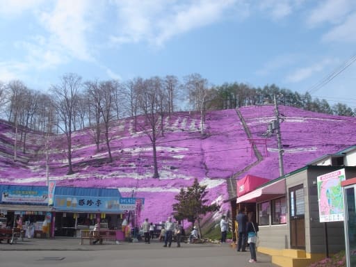 ひがしもこと芝桜公園
