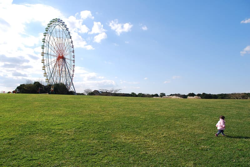 Parco marino nazionale di Hitachi