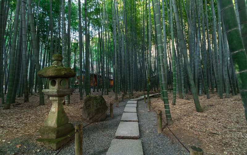 Hōkoku-ji, il tempio di bambù