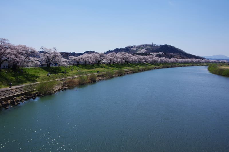 白石川堤一目千本桜