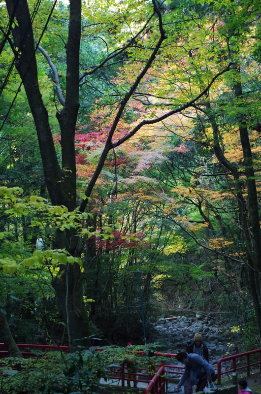 Onsen di Inunakiyama