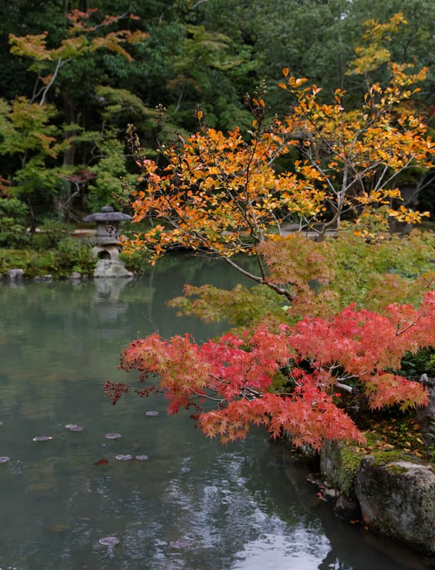 Isuien