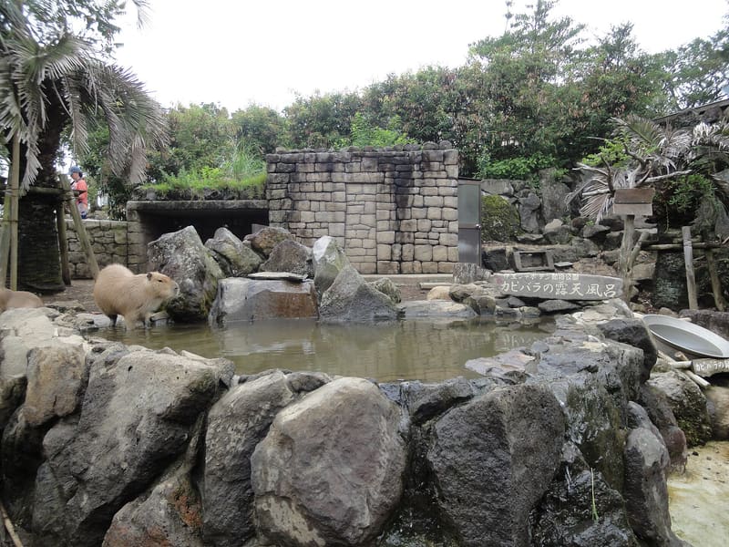 伊豆シャボテン動物公園