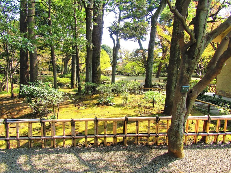 Parco Otaguro (大田黒公園) — Ogikubo