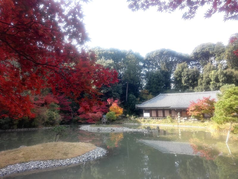 淨瑠璃寺