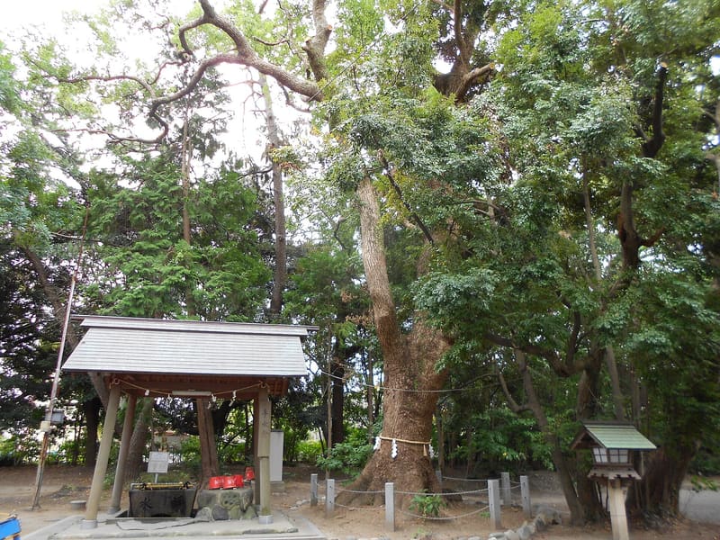 蒲神明宮