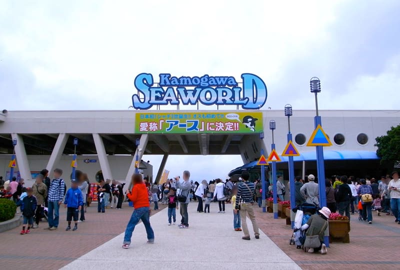 鴨川海洋世界